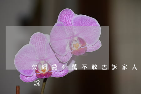 欠網貸4萬不敢告訴家人(欠網貸不敢跟家人說)