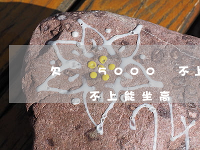 欠網貸5000還不上還能坐高鐵嘛-欠網貸還不上能坐高鐵嗎