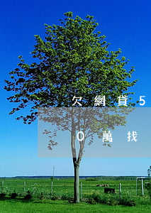 欠網貸50萬找法務有用嗎知乎-欠網貸50萬找法務有用嗎知乎