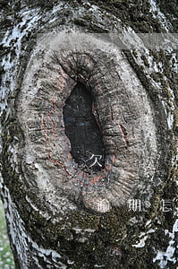 欠網貸5w全面逾期完了(欠了五萬網貸全部逾期怎么辦)