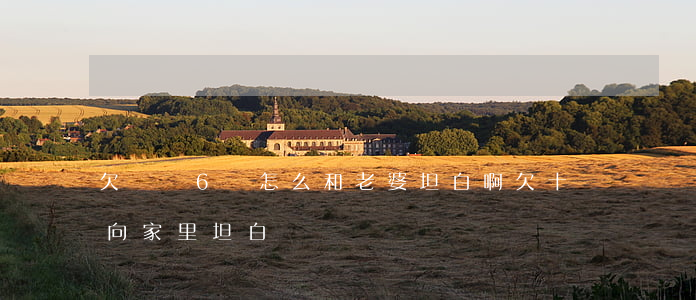 欠網貸6萬怎么和老婆坦白啊(欠十幾萬網貸向家里坦白)