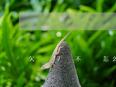 欠網貸7萬不還會怎么樣(網貸欠了七萬)