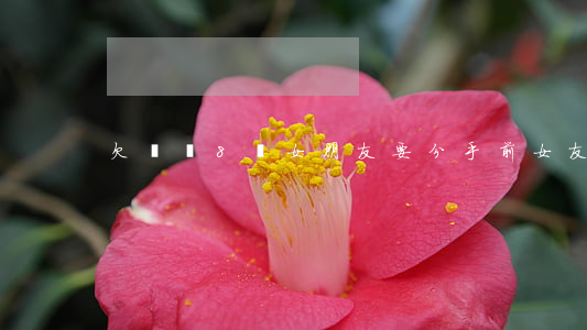 欠網貸8萬 女朋友要分手(前女友欠網貸)