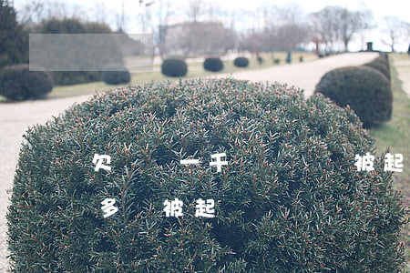 欠網貸一千來塊錢會被起訴嗎(網貸欠款一千多會被起訴嗎)