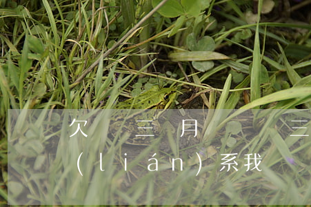 欠網貸三個月沒還(網貸三年沒有還今天又聯(lián)系我)