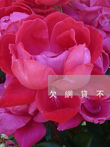 欠網貸不敢用身份證