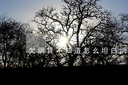 欠網貸不 知道怎么坦白(網貸坦白了)
