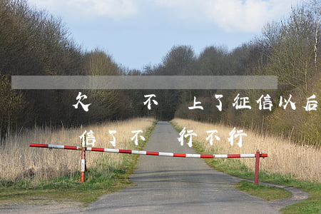 欠網貸不還上了征信以后會怎么樣(網貸上征信了不還行不行)