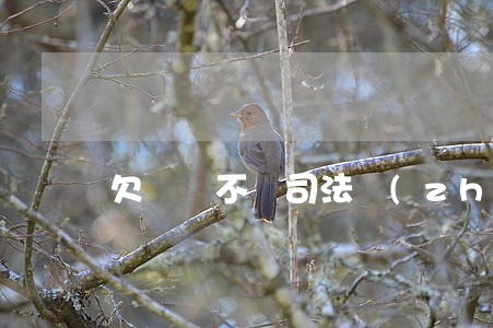欠網貸不還司法執(zhí)法部會上門嗎
