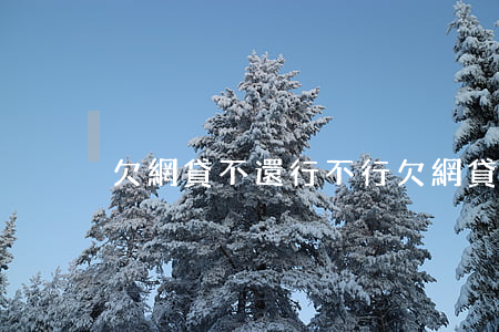 欠網貸不還行不行(欠網貸不還后果嚴重嗎)
