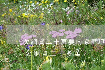 欠網貸二十萬要向家里坦白嗎(向老公坦白我欠網貸二十多萬)