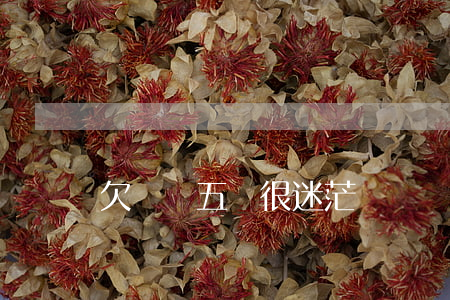 欠網貸五萬很迷茫