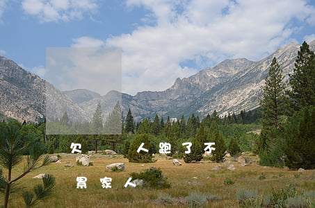 欠網貸人跑了不還誰還(網貸還不起跑路會連累家人嗎)