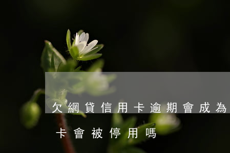 欠網貸信用卡逾期會成為老賴嗎(欠網貸信用卡會被停用嗎)