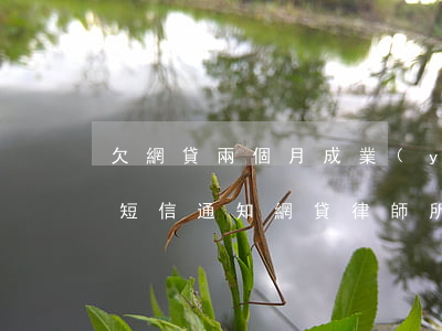 欠網貸兩個月成業(yè)律所發(fā)短信通知(網貸律師所發(fā)短信通知起訴)