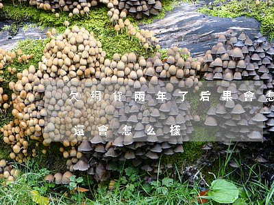欠網貸兩年了后果會怎么樣(欠網貸兩年了,不還會怎么樣)