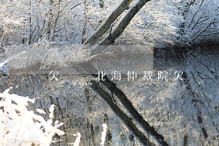 欠網貸北海仲裁院(欠網貸北海仲裁院)