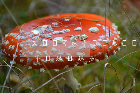欠網貸可以不還罰息(網貸逾期還不上罰息會不會越來越多)