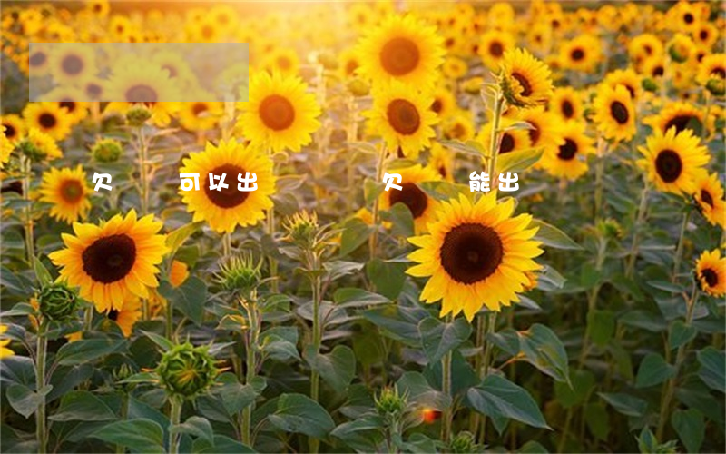 欠網貸可以出國讀書嗎(欠網貸能出國嗎)