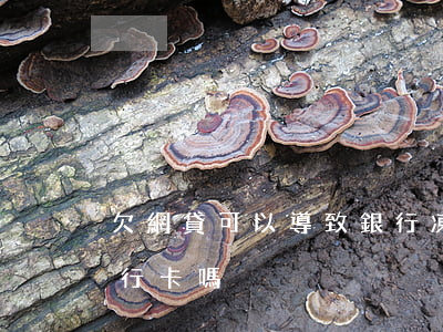 欠網貸可以導致銀行凍結嗎(欠網貸會凍結銀行卡嗎?)