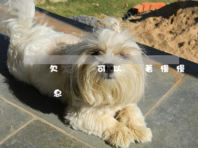 欠網貸可以掛著慢慢還嗎(網貸還不起可以停息掛賬嗎)