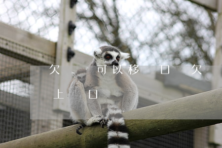 欠網貸可以移戶口嗎(欠網貸會不會影響孩子上戶口)