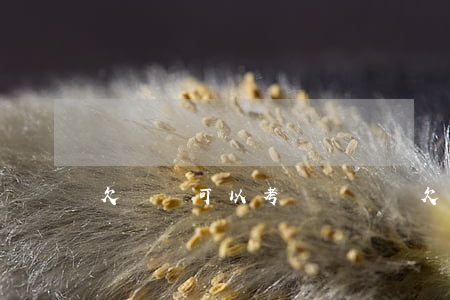 欠網貸可以考醫師證嗎(欠網貸可以考醫師證嗎)