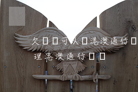 欠網貸可以辦港澳通行證么(網貸逾期可以辦理港澳通行證嗎)