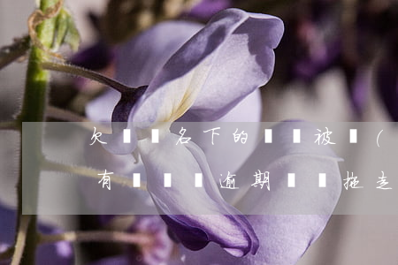 欠網貸名下的車會被執(zhí)行嗎(名下有車網貸逾期車會拖走嗎)