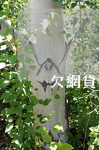 欠網貸告訴家人嗎