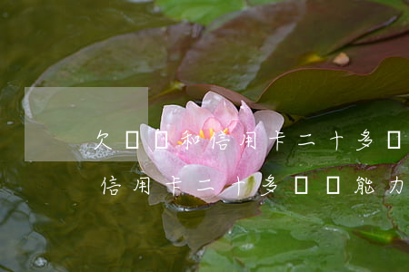 欠網貸和信用卡二十多萬沒能力還(欠網貸和信用卡二十多萬沒能力還)