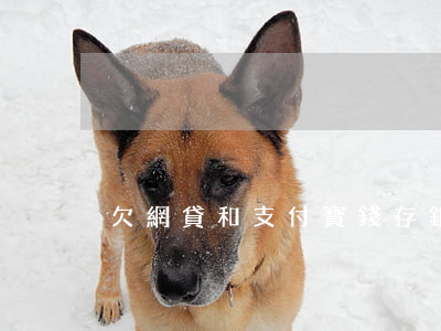 欠網貸和支付寶錢存銀行會被扣嗎