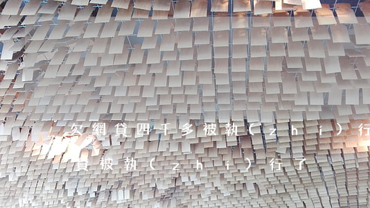 欠網貸四千多被執(zhí)行怎么辦(欠網貸被執(zhí)行了)