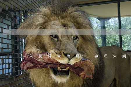 欠網貸坐地鐵沒事吧(欠網貸能不能坐高鐵)