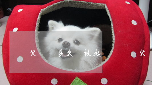 欠網貸多久會被起訴嗎(網貸欠錢多久會被起訴)