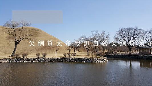 欠網貸太多我想自殺(欠網貸太多想死)