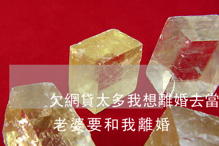欠網貸太多我想離婚去當乞丐(網貸欠債太多,老婆要和我離婚)