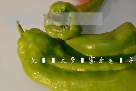 欠網貸太多離家出走(兒子欠了網貸離家出走了)