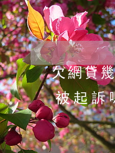 欠網貸幾千塊還說要起訴我(欠幾千塊網貸會被起訴嗎)
