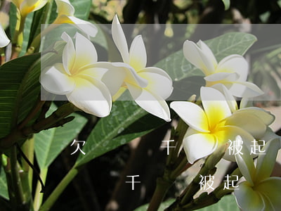 欠網貸幾千塊錢被起訴會有什么后果-欠網貸幾千塊錢被起訴會有什么后果呢