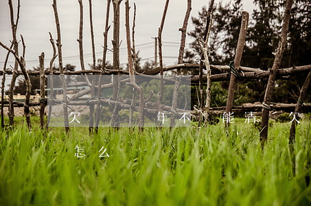 欠網貸幾年不還能清嗎(欠網貸兩年多還不起怎么辦?)