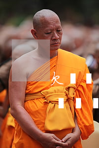 欠網貸幾萬老公還可以車貸嗎(老公欠了幾十萬網貸)