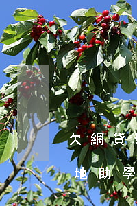 欠網貸影響生源地貸款嗎(網貸逾期影響生源地助學貸款續(xù)貸嗎)