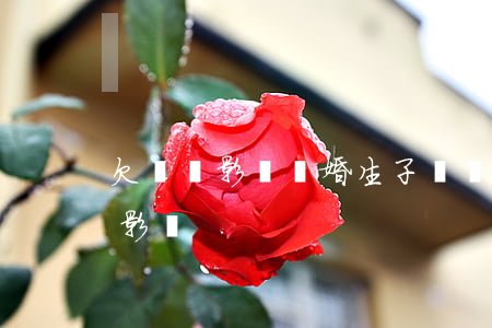 欠網貸影響結婚生子嗎(沒結婚前欠的網貸會影響)