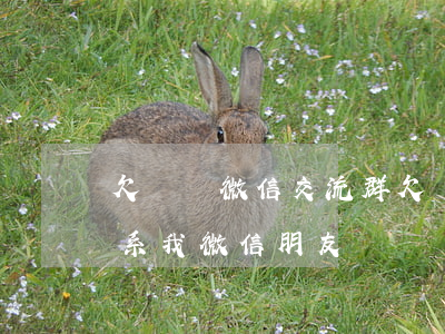 欠網貸 微信交流群(欠網貸會聯(lián)系我微信朋友嗎)
