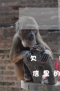 欠網貸微信有錢會被直接扣掉嗎(網貸逾期微信里的錢會被扣嗎)