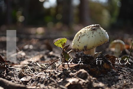 欠網貸怎么去銀行貸款(欠了網貸可以去銀行貸款嗎)
