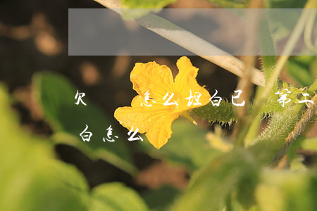 欠網貸怎么坦白已經第二次了(網貸第二次坦白怎么說)
