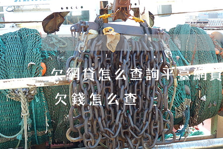 欠網貸怎么查詢平臺(網貸不知道是哪個平臺欠錢怎么查)