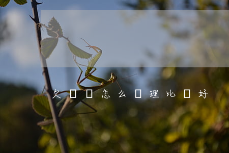 欠網貸怎么處理比較好